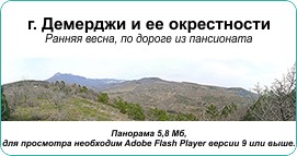 Панорама окрестностей по дороге в отель, март 2011